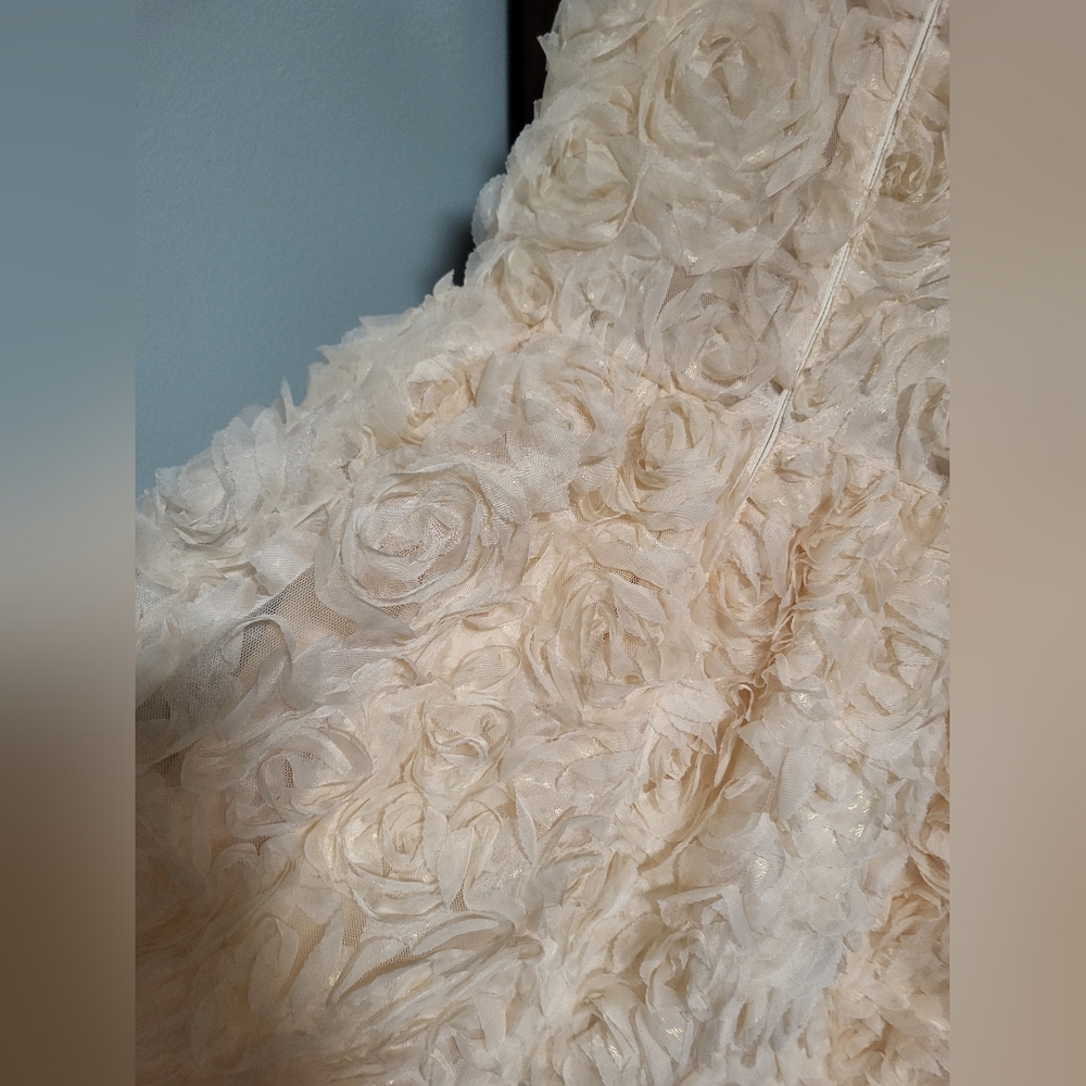 Flower Girl Dress, Roses Gold  ,  PartyDres size 8 - Picture 11 of 14